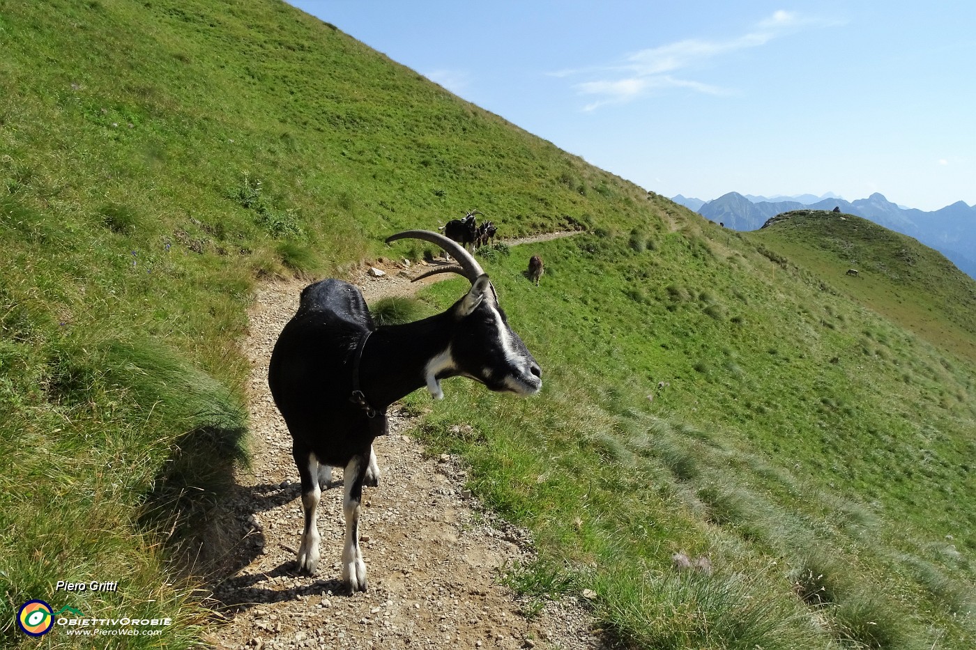 23 Piacevoli incontri.JPG
